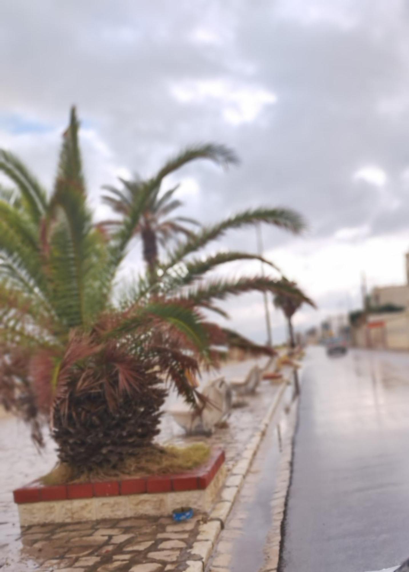 Appartement Hammam-Lif Les Cyclamens Tunisie Afrique Bagian luar foto